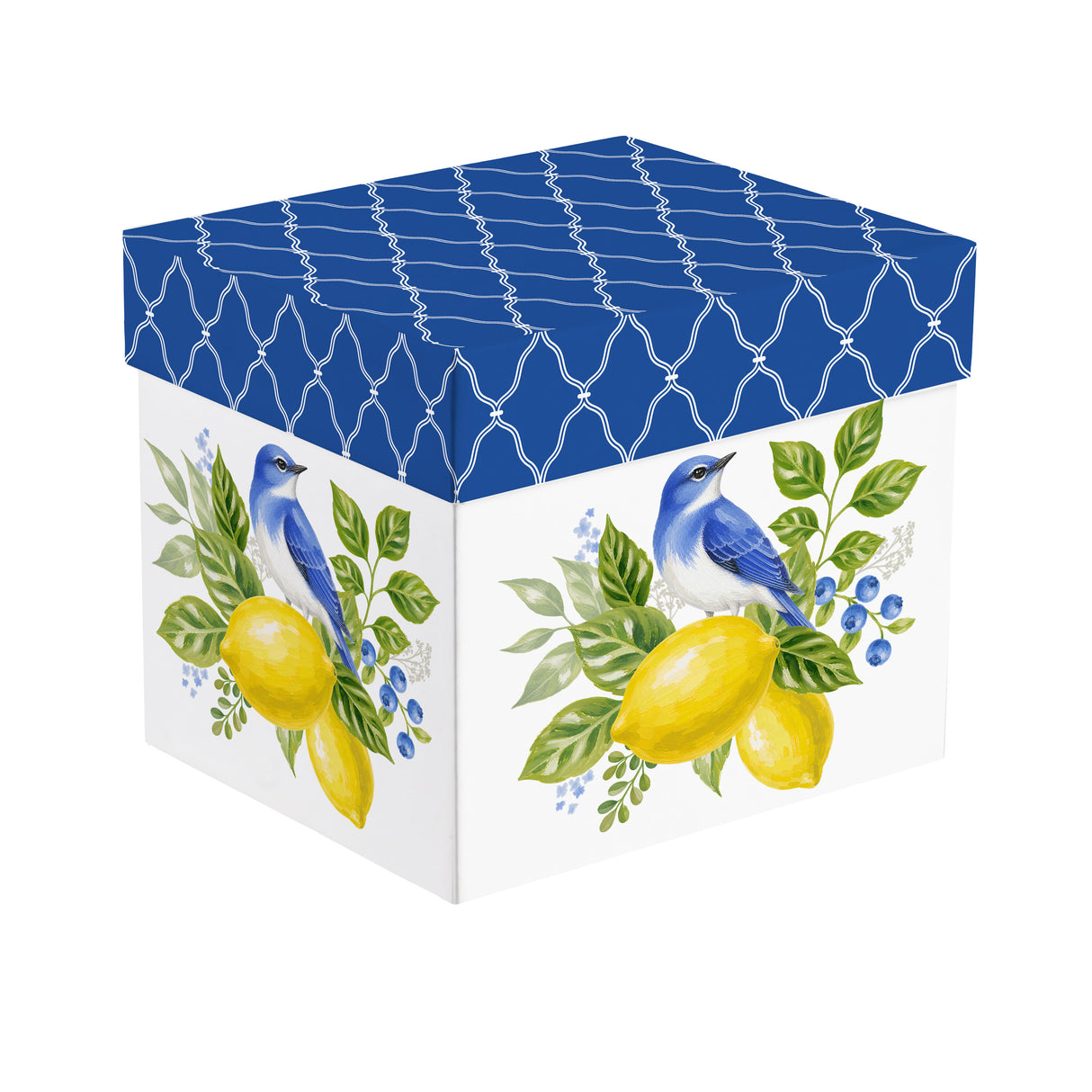 https://asset.productmarketingcloud.com/api/assetstorage/3909_92795977-7c63-4dd6-a0cf-1c5709ac681c