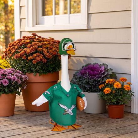 Philadelphia Eagles Throwback Sports Porch Goose Uniform