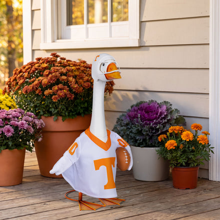 University of Tennessee Sports Porch Goose Uniform