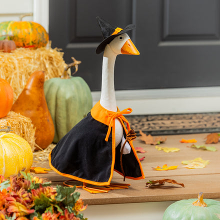 Giddy the Goose Outfit, Witch