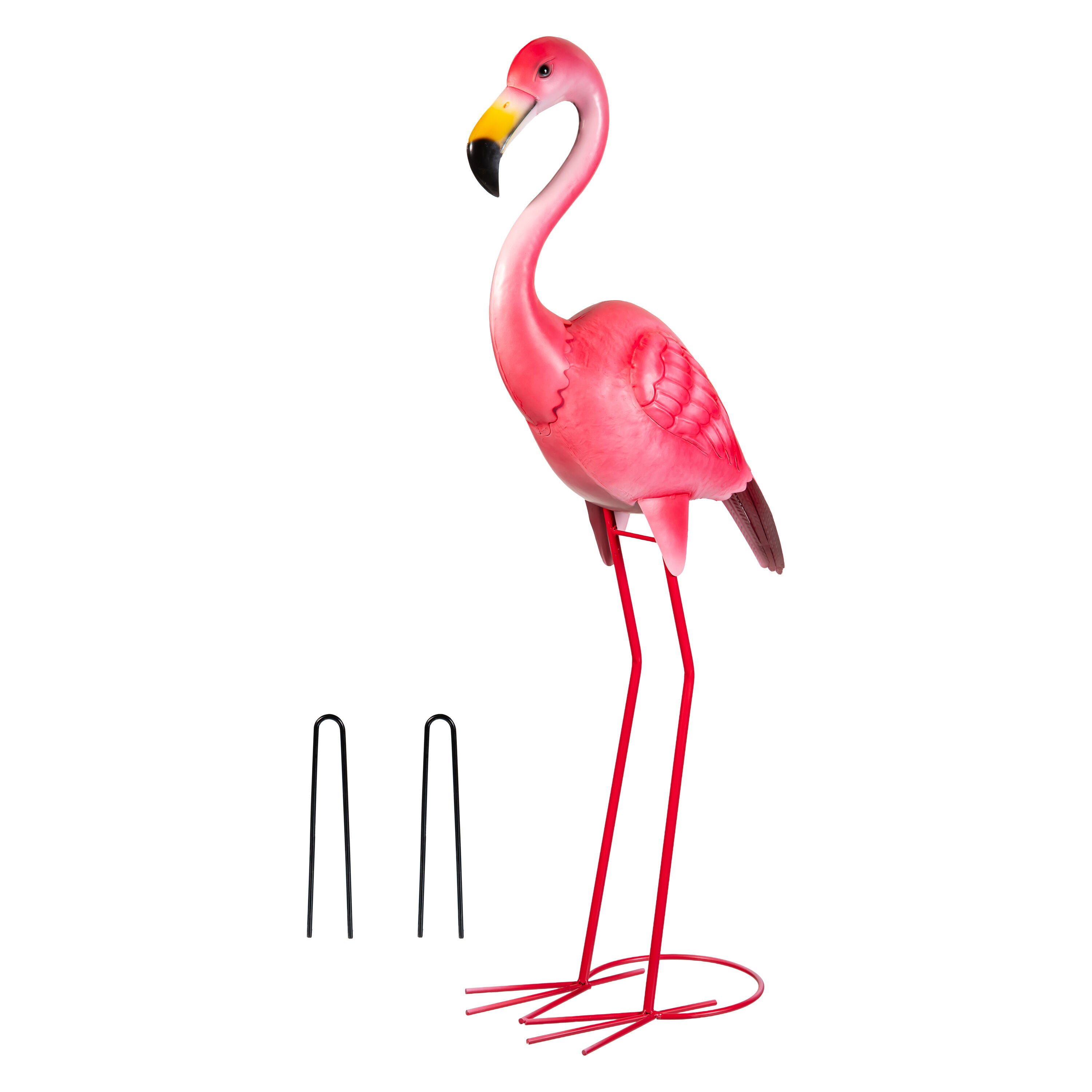 Flamingo\