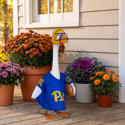 University of Pittsburgh Sports Porch Goose Uniform