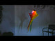 https://www.youtube.com/watch?v=gVkw_iGCFls
