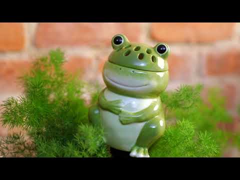 All-In-One Ceramic Fruit Fly/Fungus Gnat Trap with Watering Globe