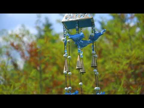 https://www.youtube.com/watch?v=nEdgg91s5ew
