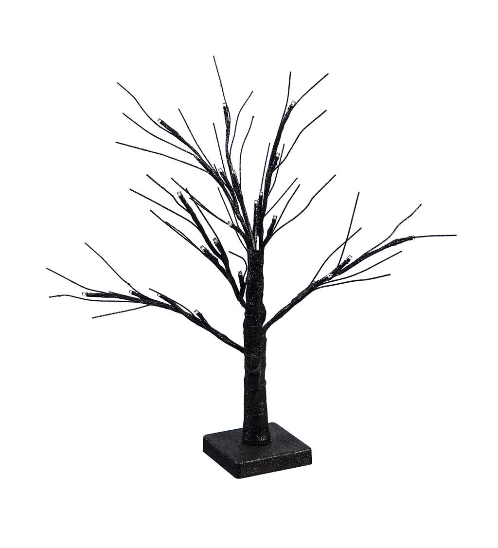 Black Twig Tree